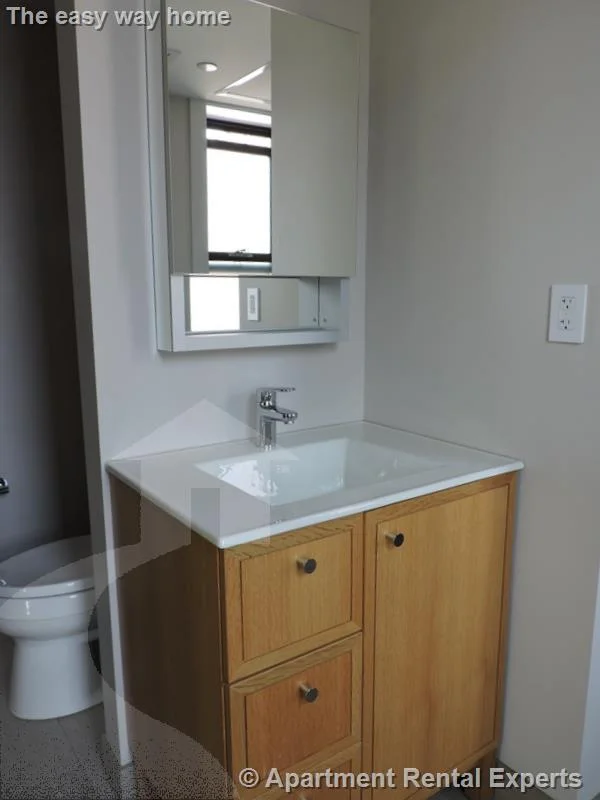 1 bed, 1 bath apartment for rent at 115 Mt Auburn St Unit 35, Harvard Square — photo 9 of 11