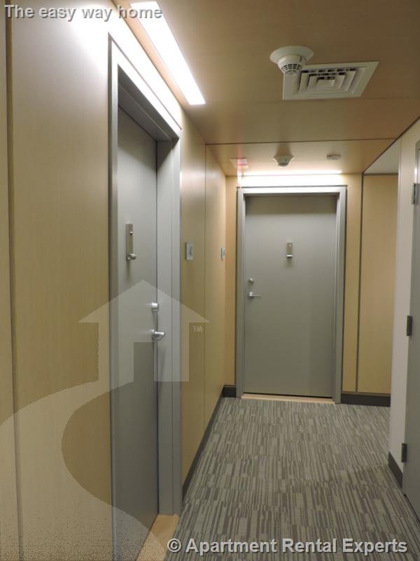 1 bed, 1 bath apartment for rent at 115 Mount Auburn St Unit 42, Harvard Square — photo 12 of 12
