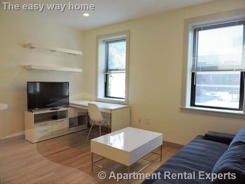 1 bed, 1 bath apartment for rent at 115 Mount Auburn St Unit 43, Harvard Square — photo 2 of 12