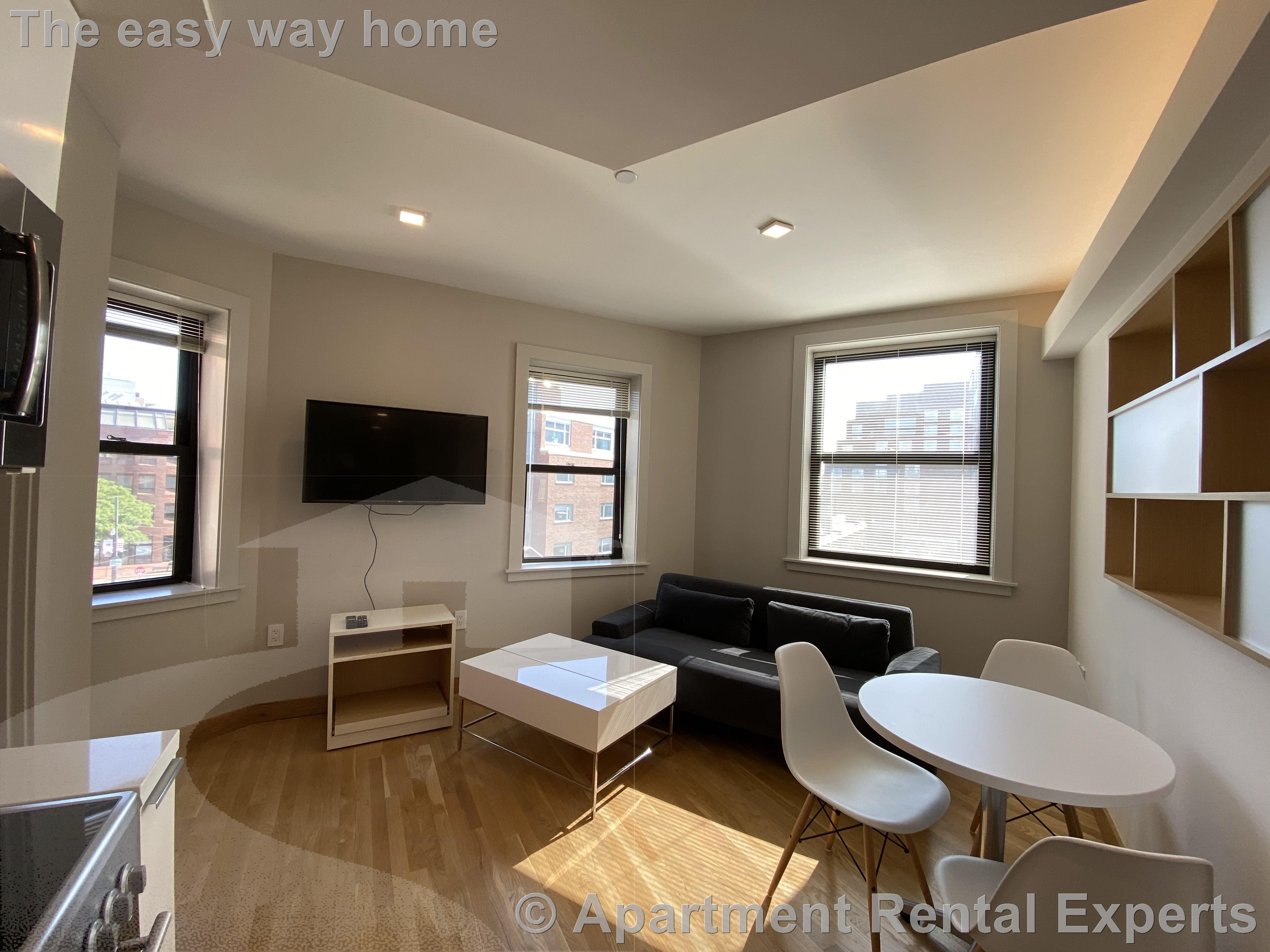 1 bed, 1 bath apartment for rent at 115 Mount Auburn St Unit 45, Harvard Square — photo 3 of 9