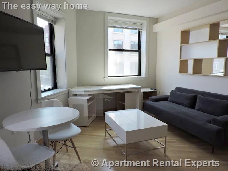 1 bed, 1 bath apartment for rent at 115 Mt Auburn St Unit 55, Harvard Square — photo 3 of 11