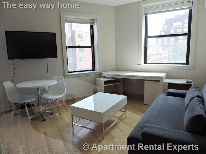 1 bed, 1 bath apartment for rent at 115 Mt Auburn St Unit 55, Harvard Square — photo 1 of 11