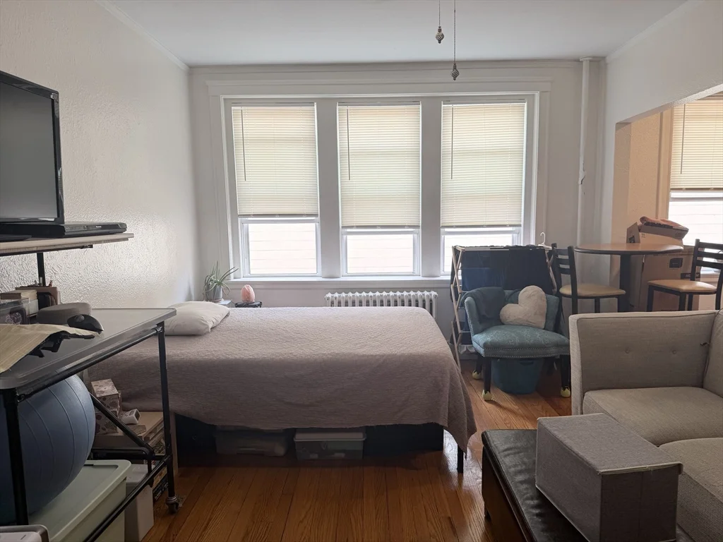 Studio bed, 1 bath apartment for rent at 115 Peterborough Unit 24, Fenway — photo 3 of 10