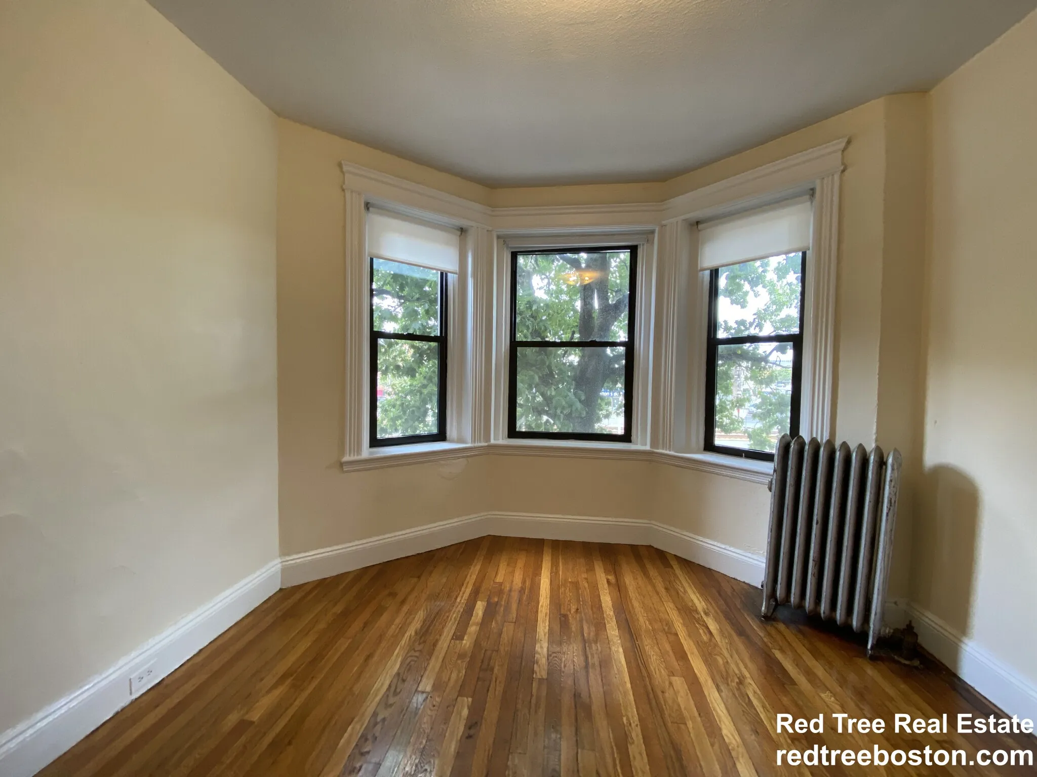 Studio bed, 1 bath apartment for rent at 1156 Commonwealth Ave Unit 23, Allston — photo 3 of 11