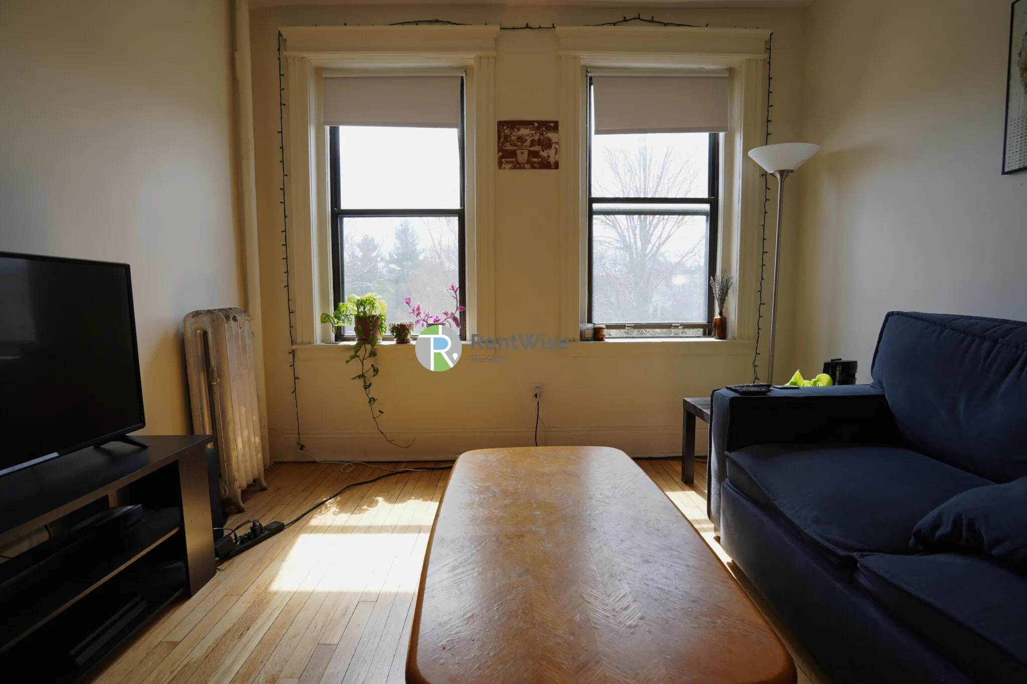 1 bed, 1 bath apartment for rent at 1156 Commonwealth Ave Unit 39, Allston — photo 2 of 15