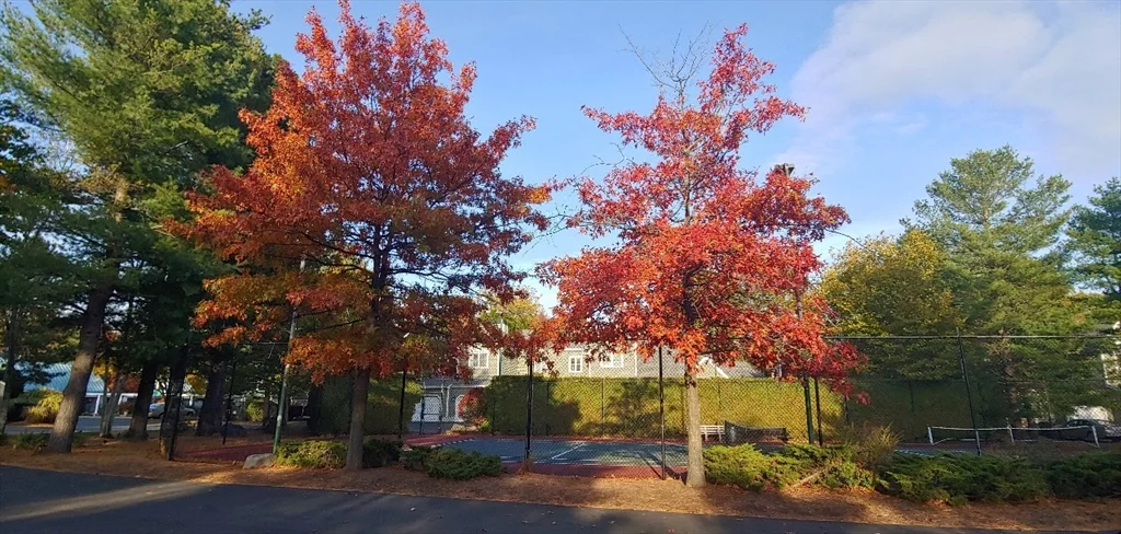 2 bed, 2 bath apartment for rent at 116 Bishop Forest Dr Unit 1, Waltham — photo 21 of 22