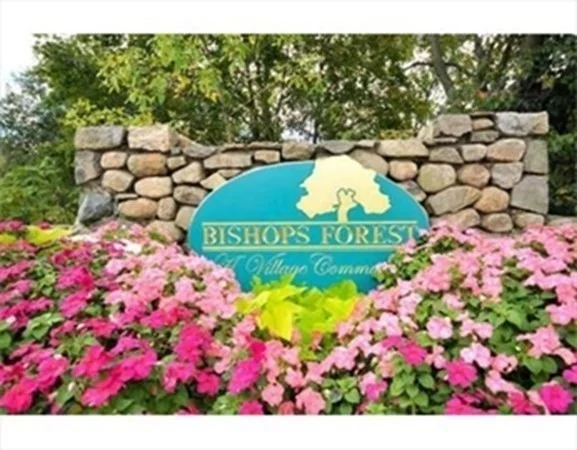2 bed, 2 bath apartment for rent at 116 Bishop Forest Dr Unit 1, Waltham — photo 22 of 22
