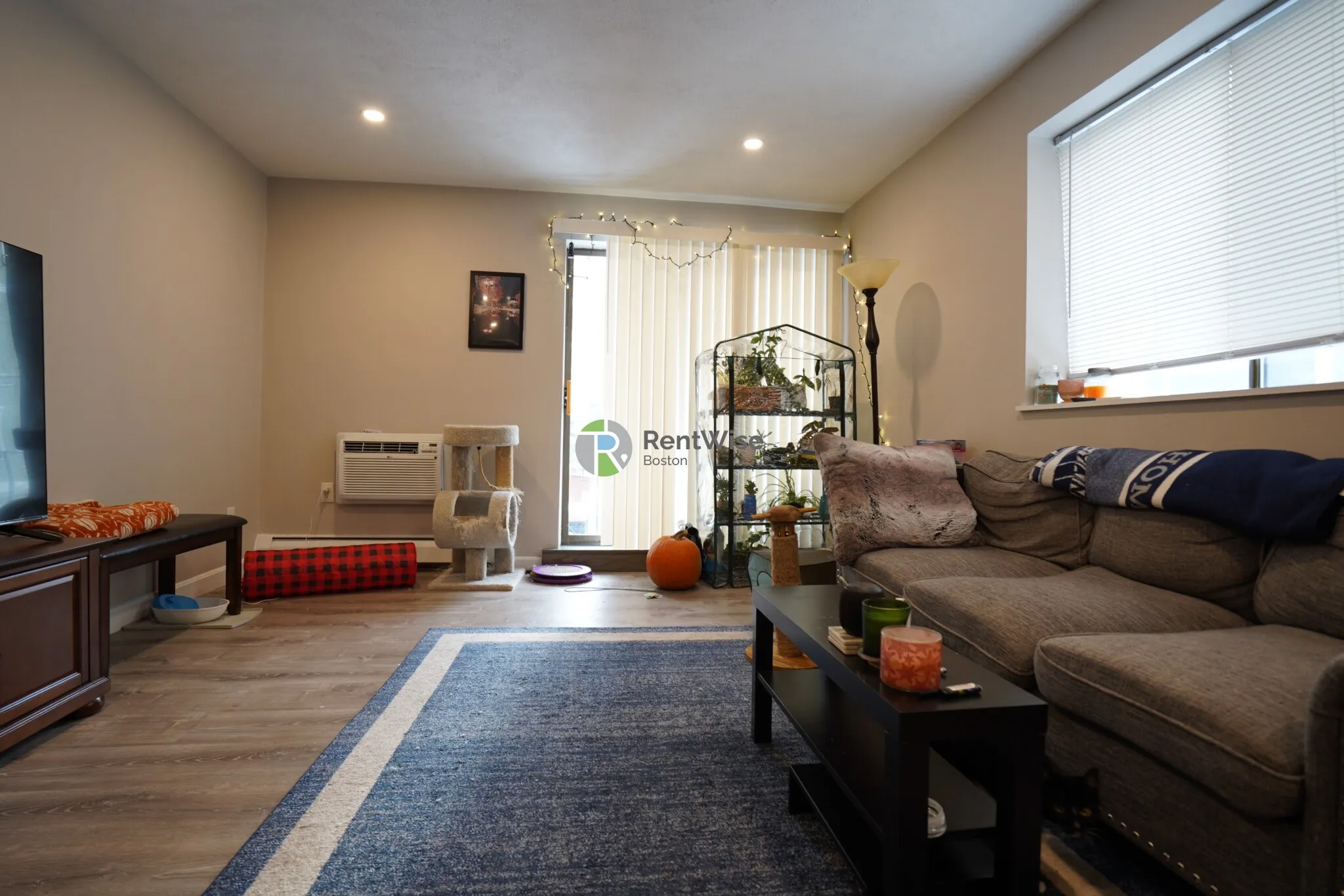 1 bed, 1 bath apartment for rent at 116 Tremont St Unit 208, Brighton — photo 2 of 18
