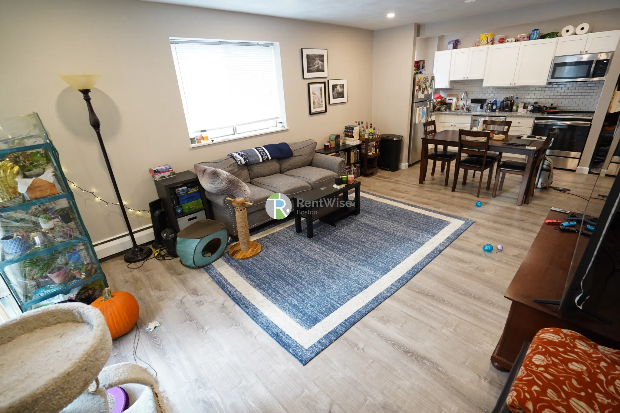1 bed, 1 bath apartment for rent at 116 Tremont St Unit 208, Brighton — photo 3 of 18