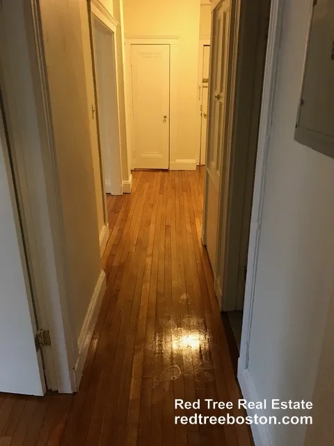 1 bed, 1 bath apartment for rent at 116 Washington St Unit 1, Brighton — photo 6 of 7