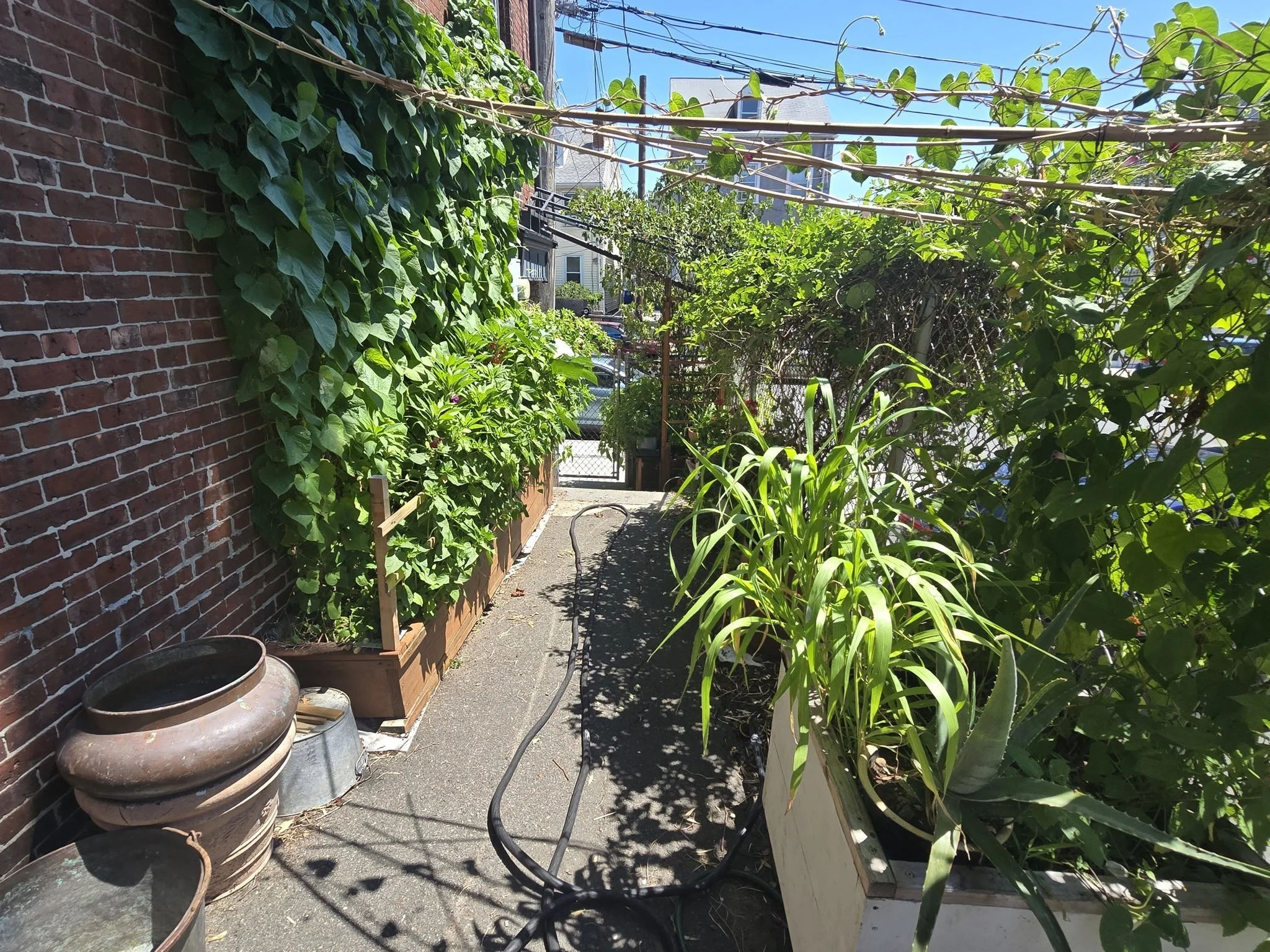 1 bed, 1 bath apartment for rent at 116 Winnisimmet St Unit 1, Chelsea — photo 13 of 29