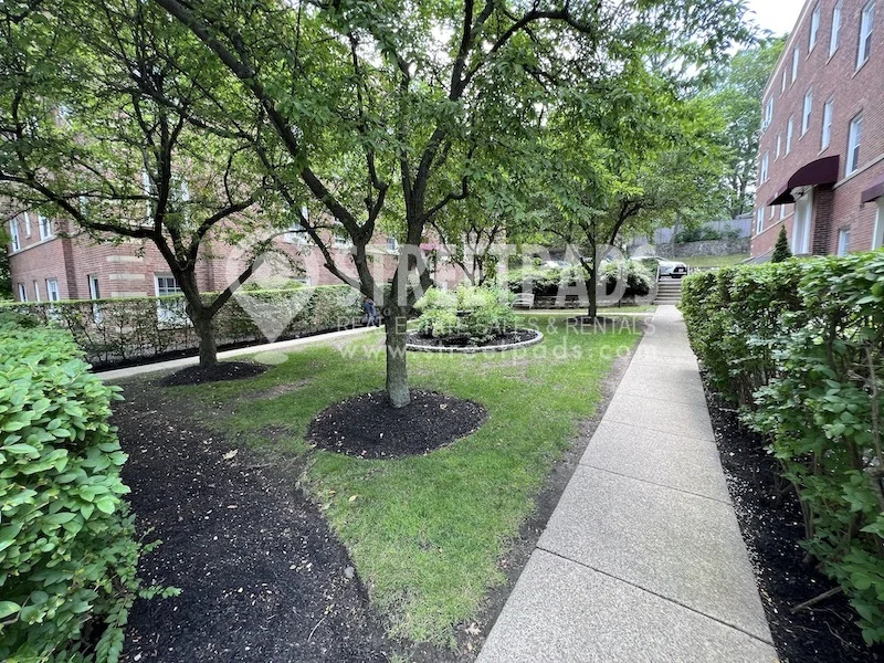 2 bed, 2 bath apartment for rent at 1163 Beacon St Unit 7, Longwood — photo 51 of 52