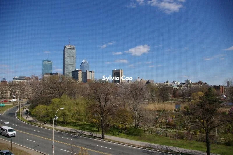 1 bed, 1 bath apartment for rent at 1167 Boylston St Unit 14-1, Fenway — photo 12 of 12