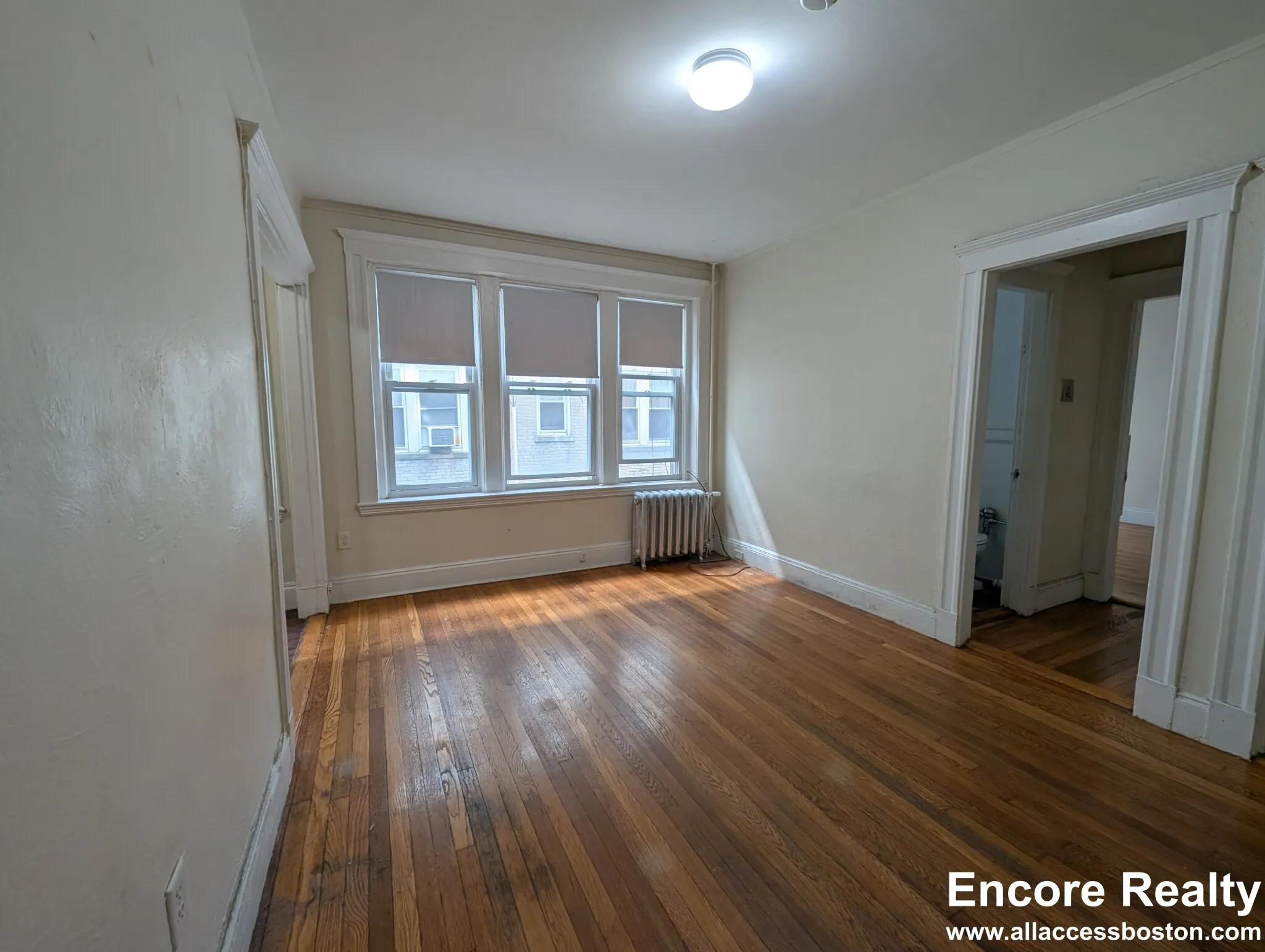 1 bed, 1 bath apartment for rent at 1167 Boylston St Unit 14M, Fenway — photo 2 of 16