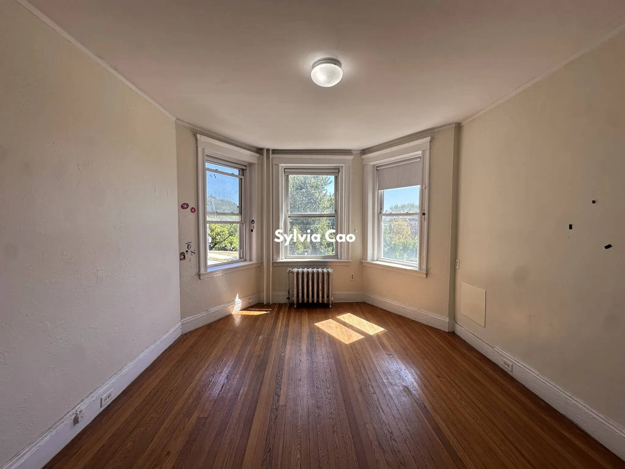 1 bed, 1 bath apartment for rent at 1167 Boylston St Unit 23-1, Fenway — photo 1 of 12