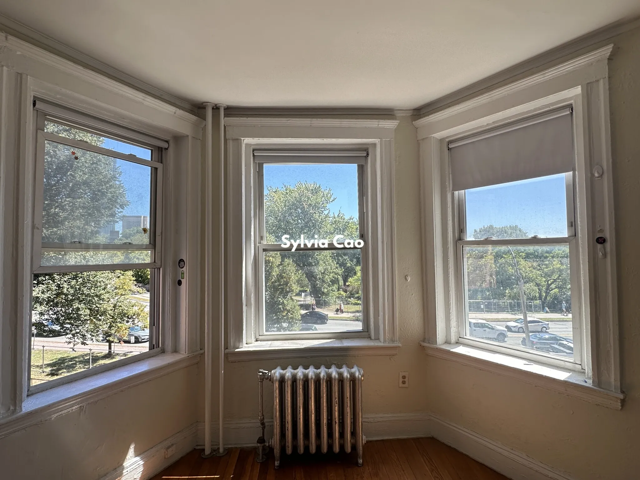 1 bed, 1 bath apartment for rent at 1167 Boylston St Unit 23-1, Fenway — photo 2 of 12