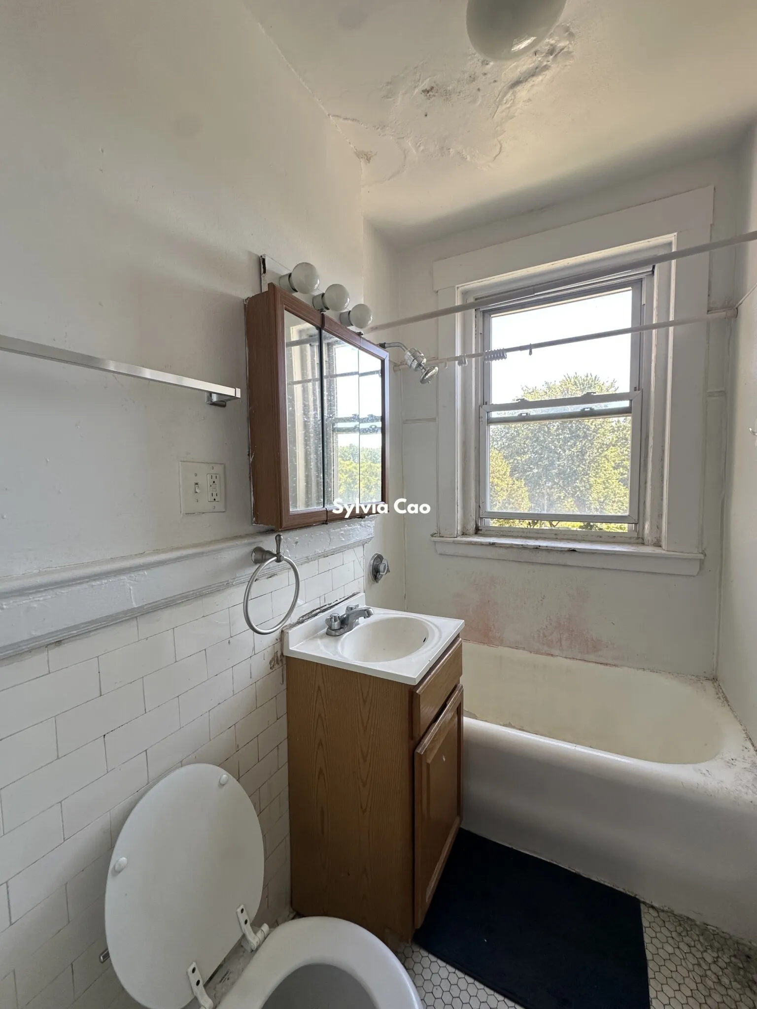 1 bed, 1 bath apartment for rent at 1167 Boylston St Unit 23-1, Fenway — photo 8 of 12