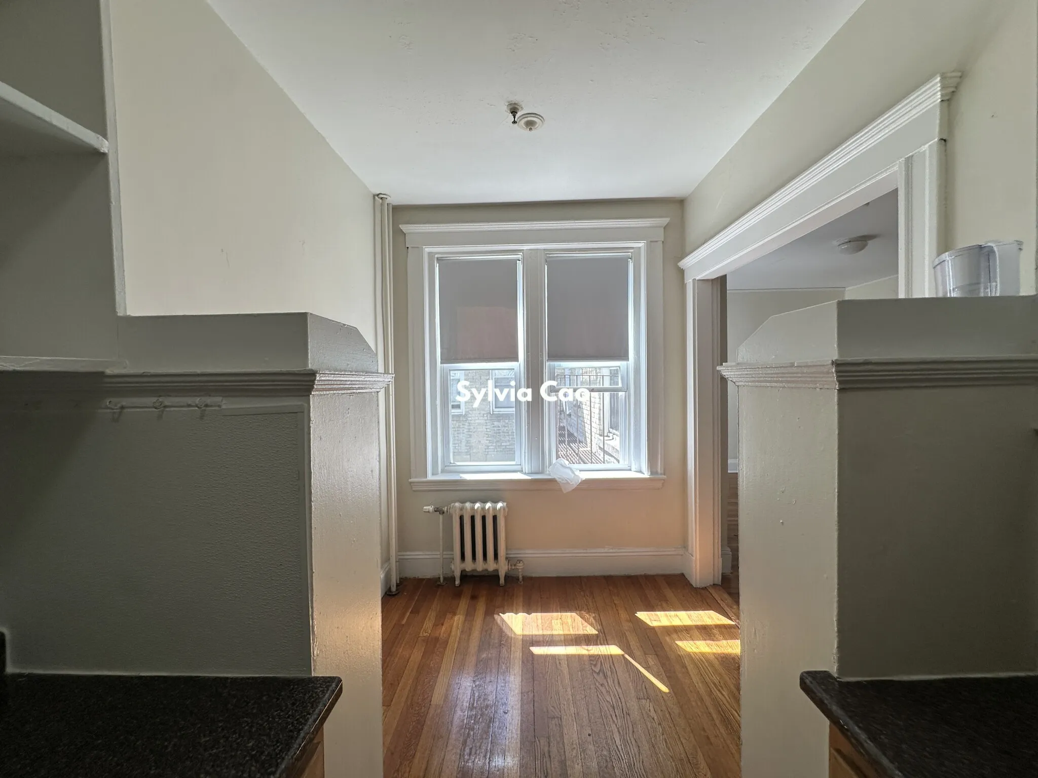 1 bed, 1 bath apartment for rent at 1167 Boylston St Unit 29, Fenway — photo 6 of 12