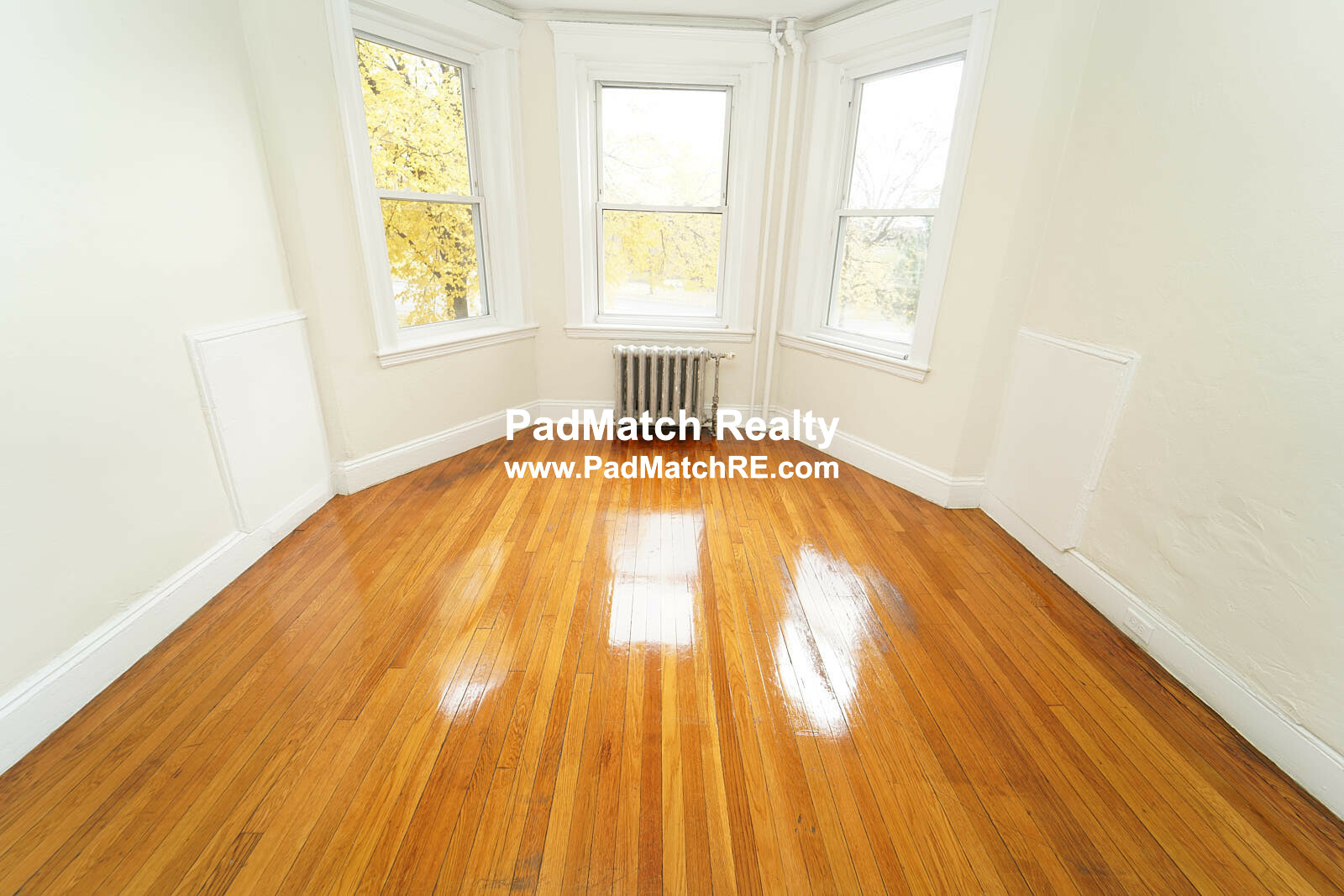1 bed, 1 bath apartment for rent at 1167 Boylston St Unit 8, Fenway — photo 1 of 17