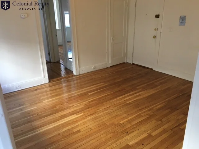 2 bed, 1 bath apartment for rent at 117 Brainerd Rd Unit 5, Allston — photo 4 of 7