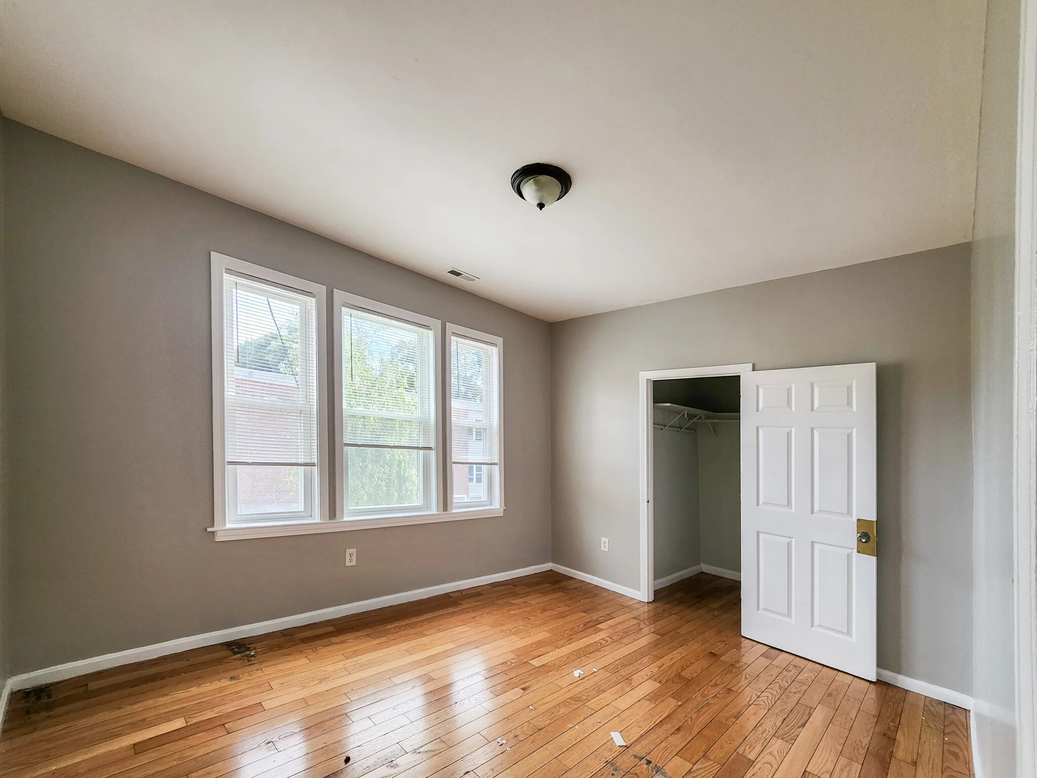4 bed, 1 bath apartment for rent at 117 Townsend St Unit 2, Dorchester — photo 5 of 11