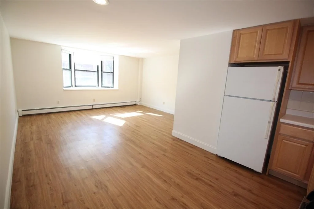 1 bed, 1 bath apartment for rent at 117 West Concord St Unit 4, South End — photo 9 of 16