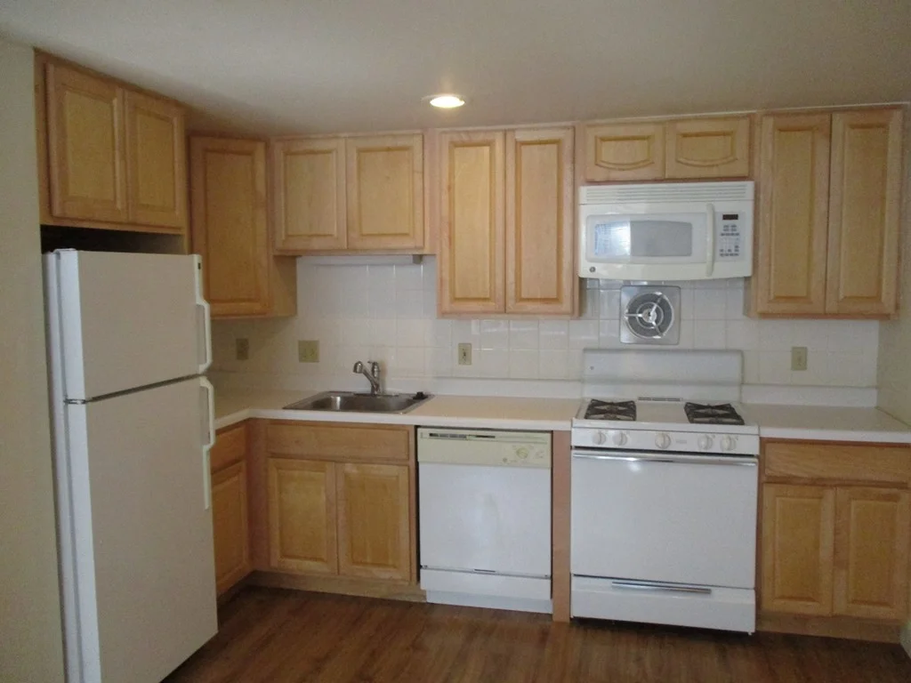 1 bed, 1 bath apartment for rent at 117 West Concord St Unit 4, South End — photo 2 of 12
