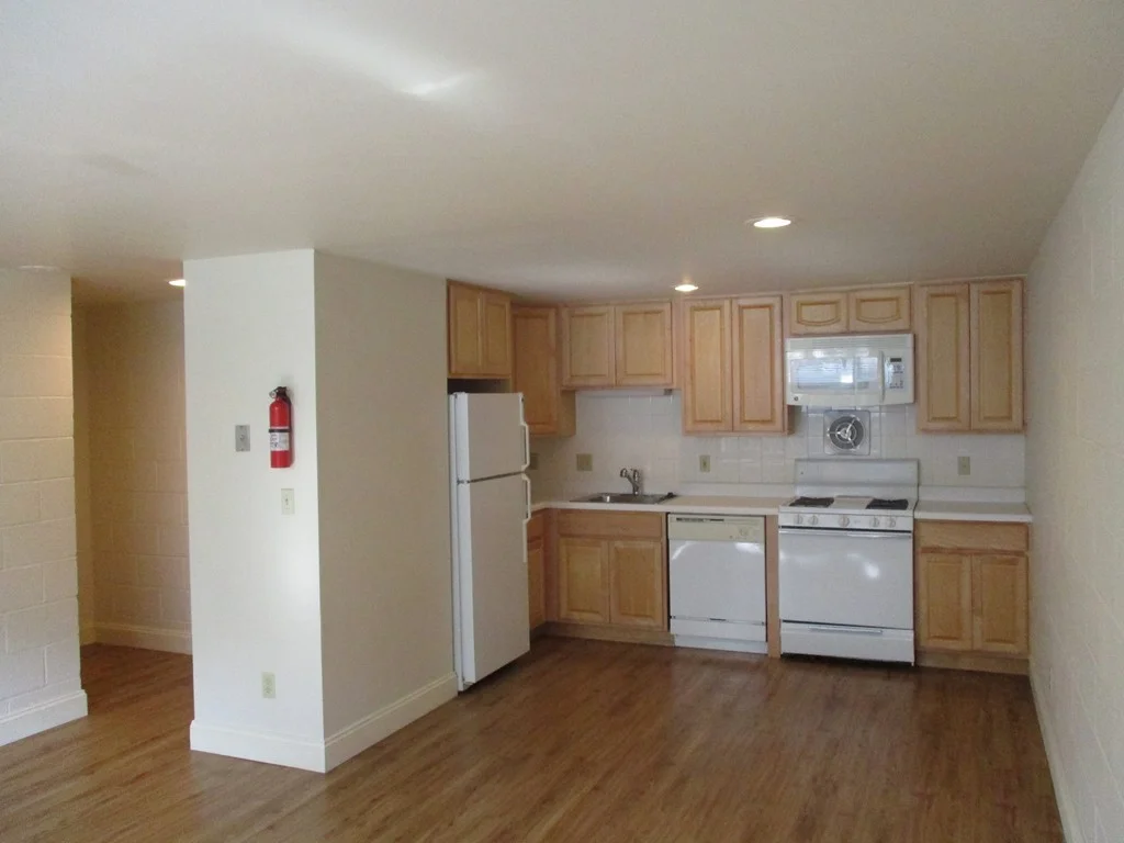 1 bed, 1 bath apartment for rent at 117 West Concord St Unit 4, South End — photo 1 of 12