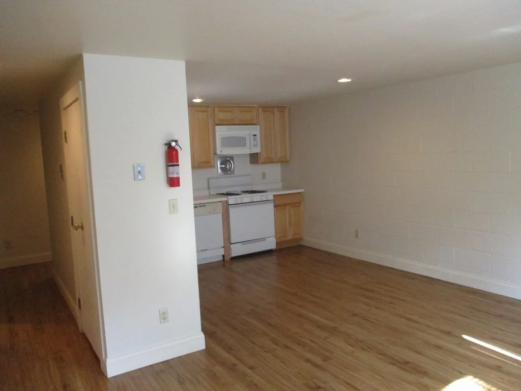 1 bed, 1 bath apartment for rent at 117 West Concord St Unit 4, South End — photo 5 of 12
