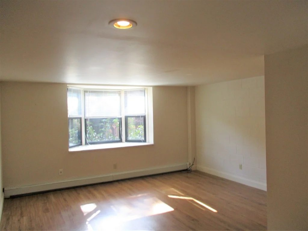 1 bed, 1 bath apartment for rent at 117 West Concord St Unit 4, South End — photo 3 of 12