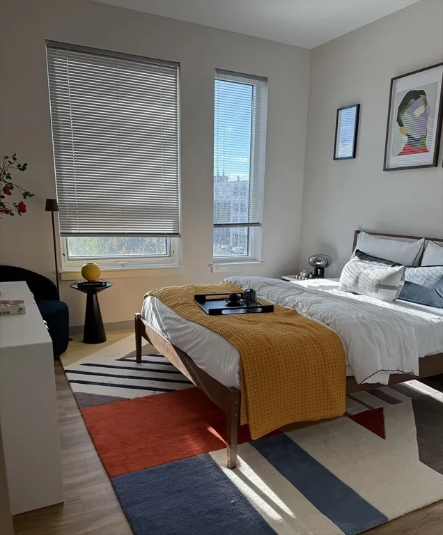 1 bed, 1 bath apartment for rent at 1170 Tremont St Unit 901, Roxbury — photo 7 of 16