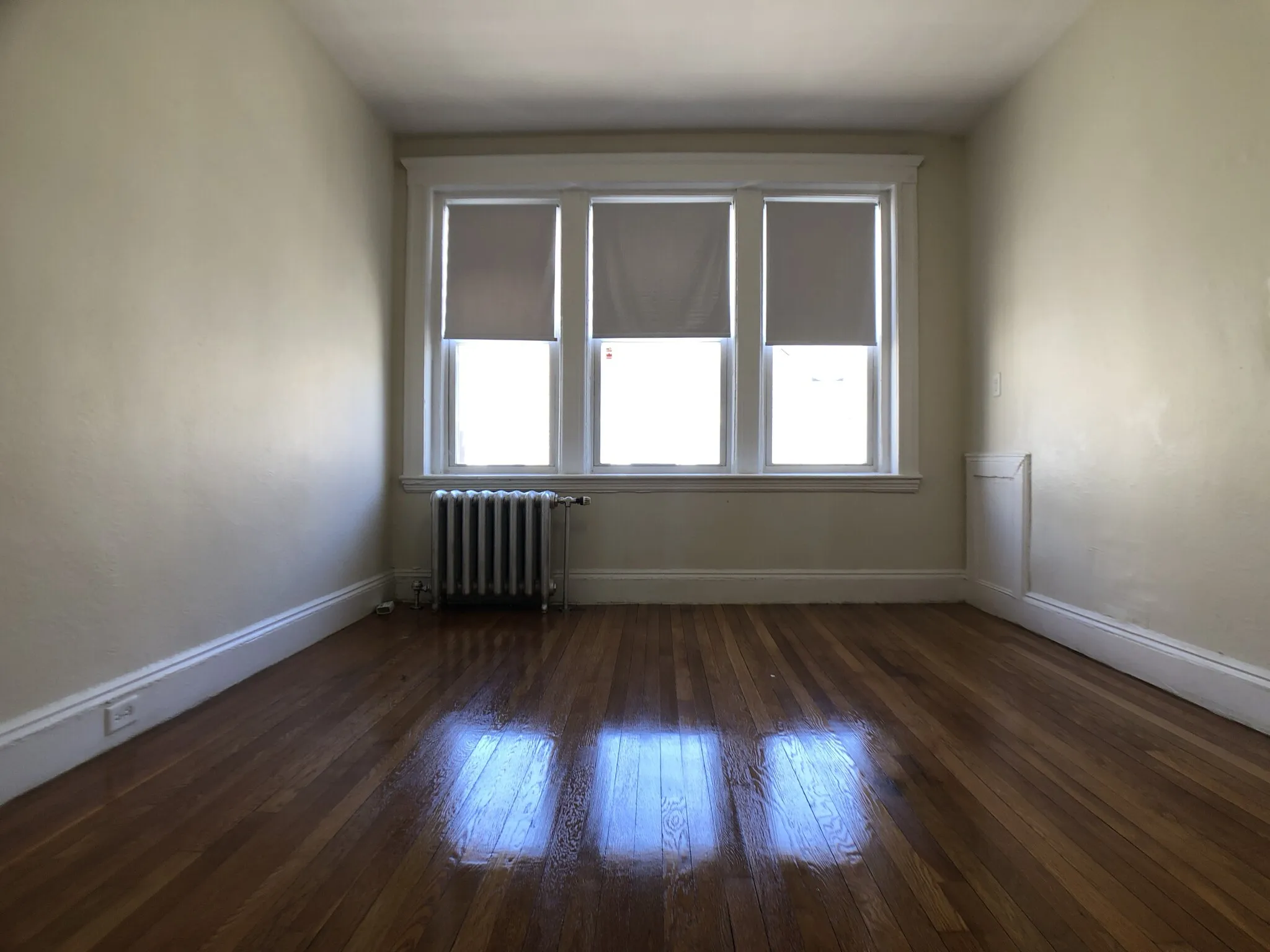 1 bed, 1 bath apartment for rent at 1171 Boylston St Unit 1171-38, Fenway — photo 17 of 20