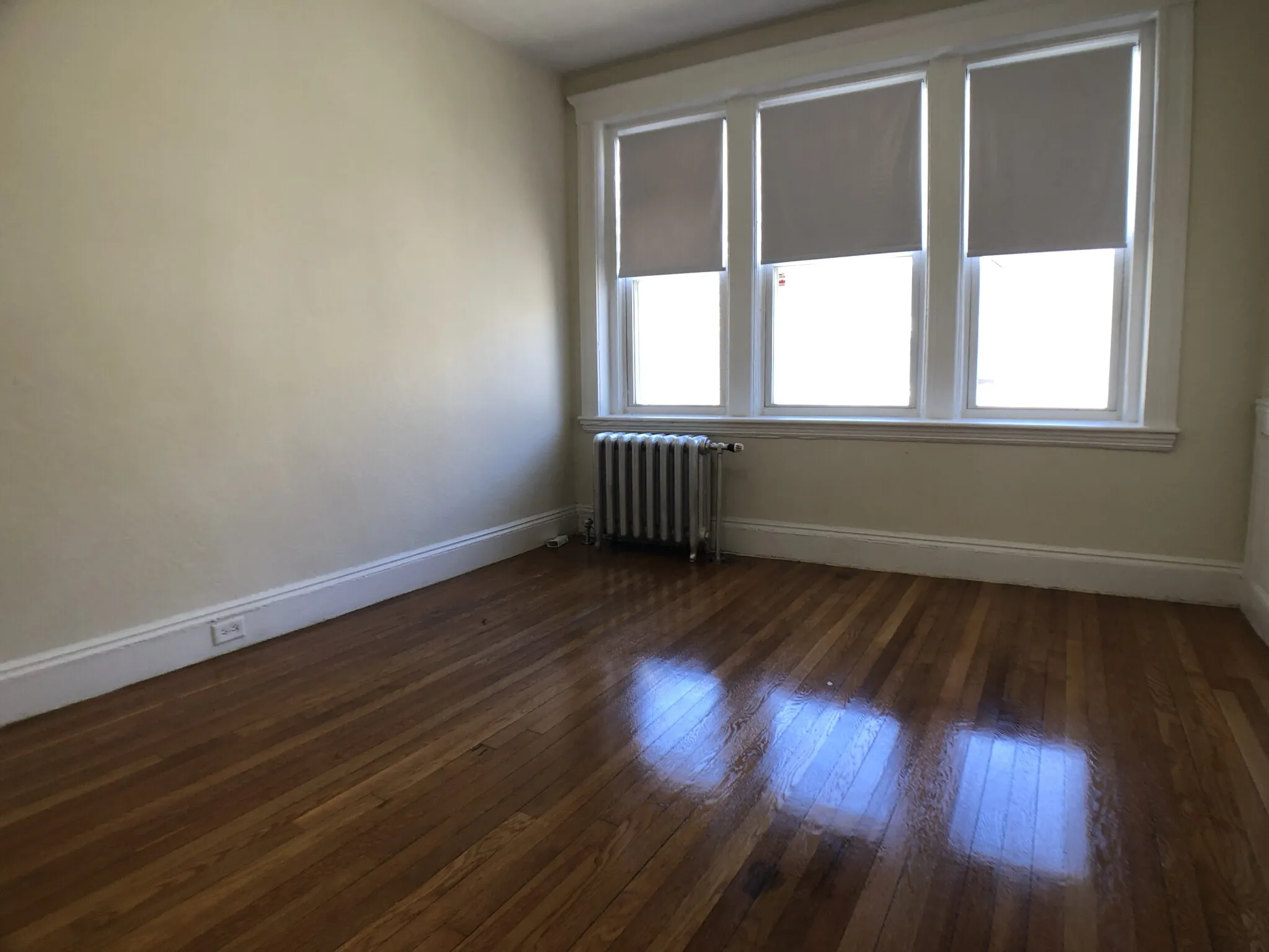 1 bed, 1 bath apartment for rent at 1171 Boylston St Unit 1171-38, Fenway — photo 16 of 20