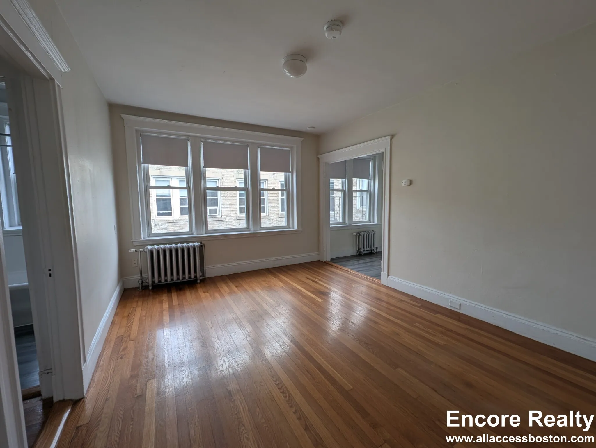 1 bed, 1 bath apartment for rent at 1171 Boylston St Unit 1171-38, Fenway — photo 3 of 20
