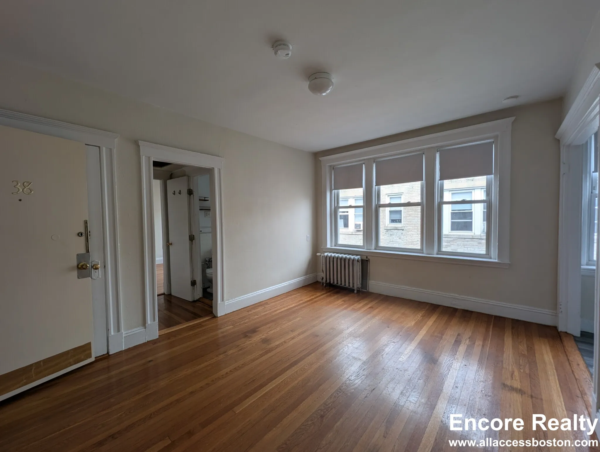 1 bed, 1 bath apartment for rent at 1171 Boylston St Unit 1171-38, Fenway — photo 4 of 20