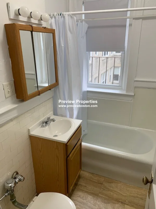 1 bed, 1 bath apartment for rent at 1171 Boylston St Unit 23P, Fenway — photo 6 of 6