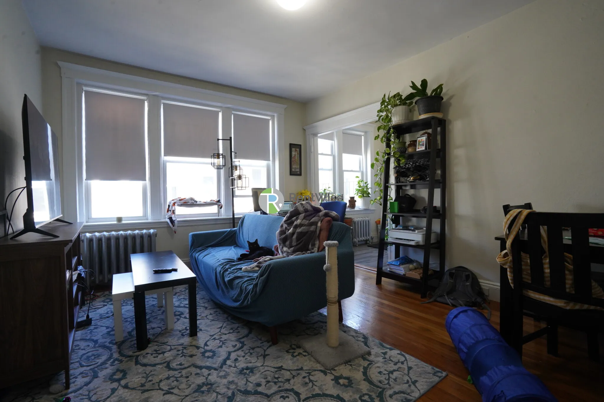 1 bed, 1 bath apartment for rent at 1171 Boylston St Unit 38-1, Fenway — photo 1 of 13