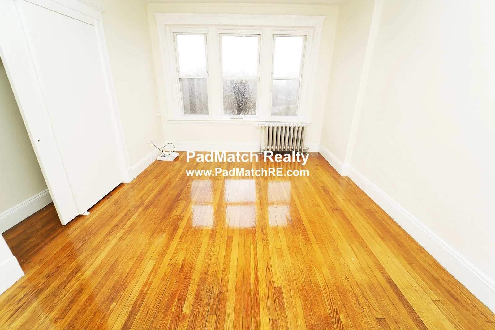 Studio bed, 1 bath apartment for rent at 1171 Boylston St Unit 40, Fenway — photo 1 of 14