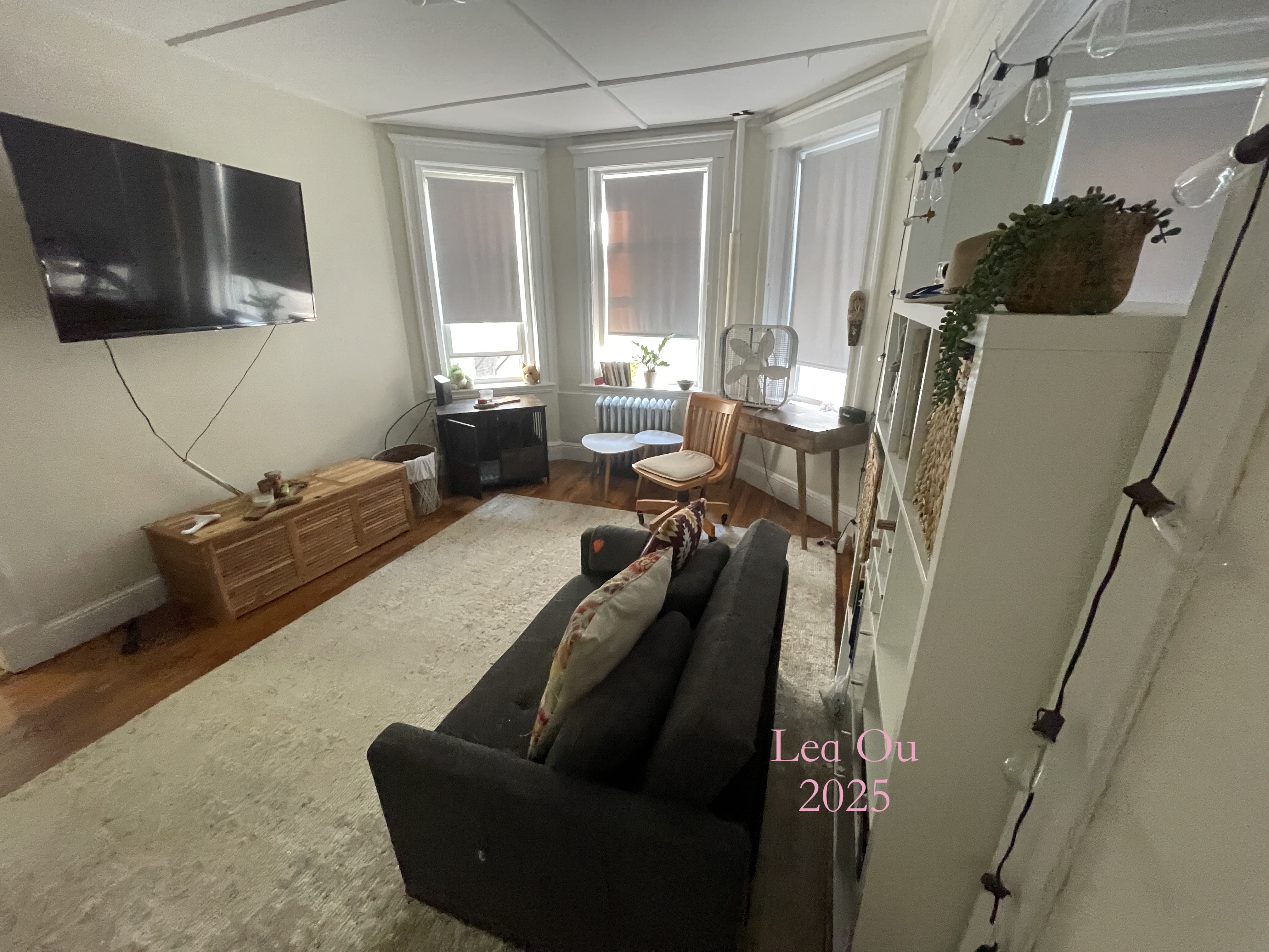 Studio bed, 1 bath apartment for rent at 1179 Boylston St Unit 22, Fenway — photo 2 of 9