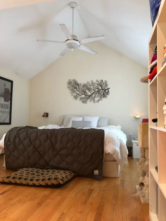 2 bed, 1 bath apartment for rent at 118 Sherman St Unit 118, Neighborhood Nine — photo 9 of 31