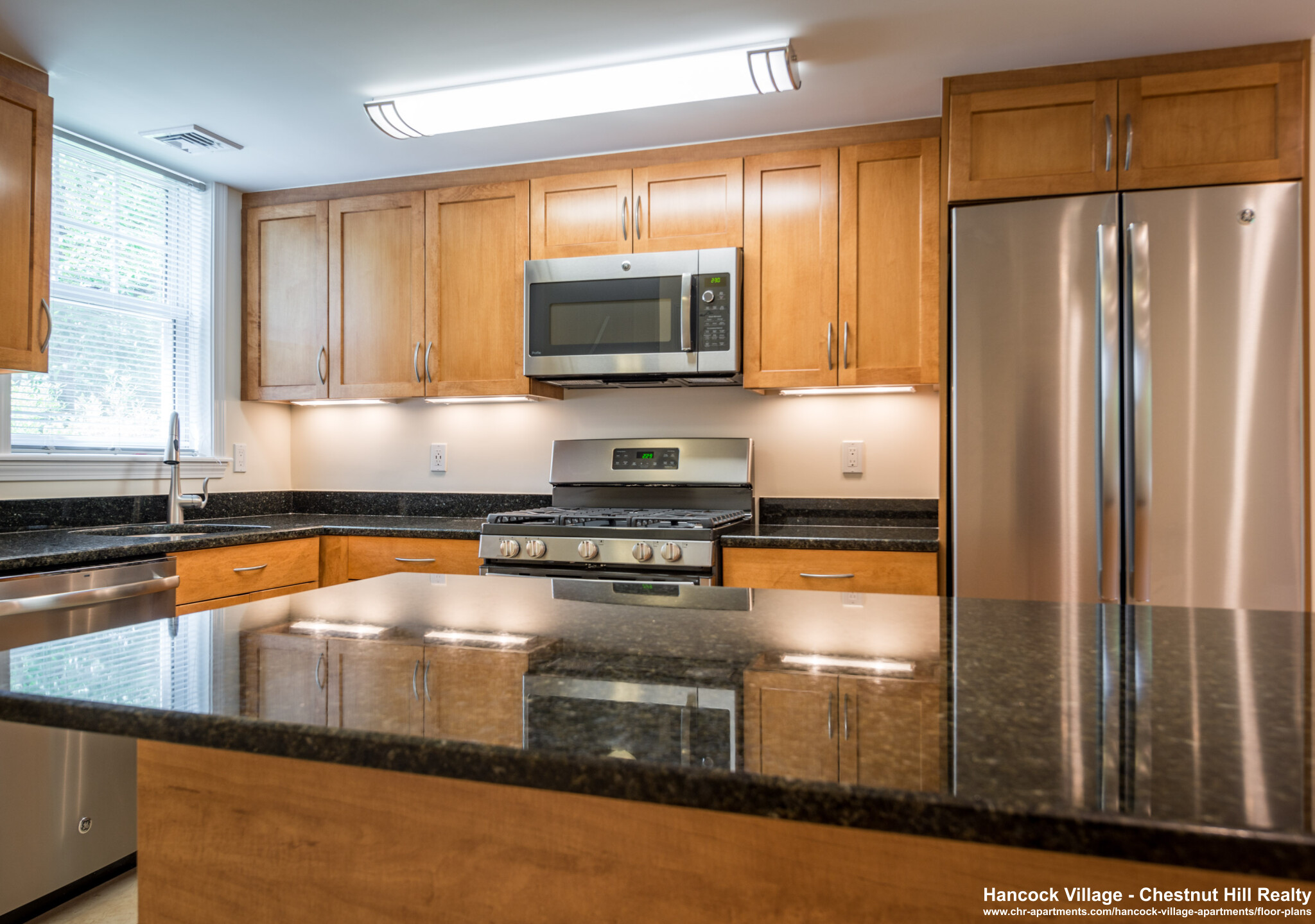 2 bed, 1 bath apartment for rent at 118 Thornton Rd Unit 1, Chestnut Hill — photo 2 of 7