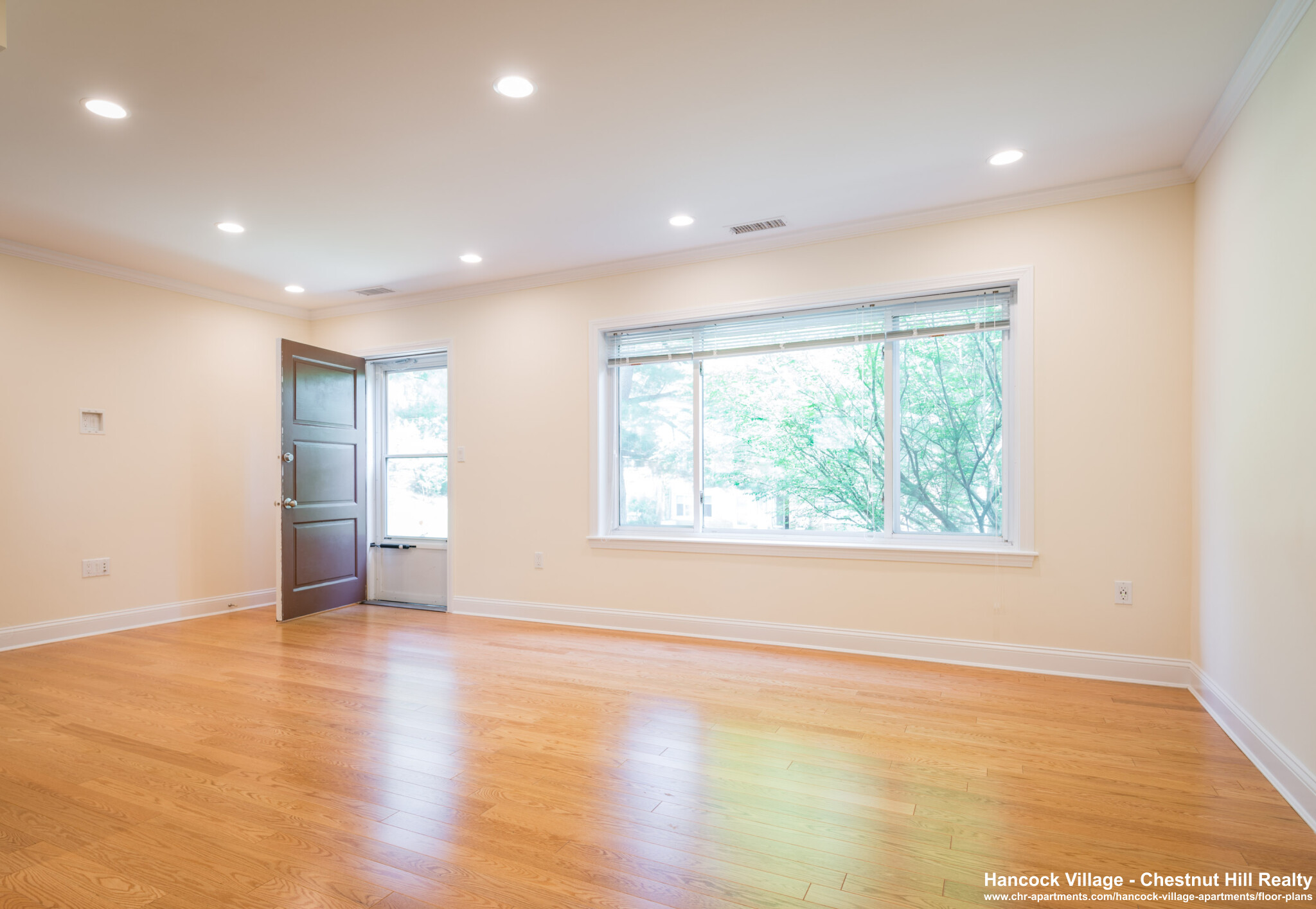 2 bed, 1 bath apartment for rent at 118 Thornton Rd Unit 1, Chestnut Hill — photo 3 of 7