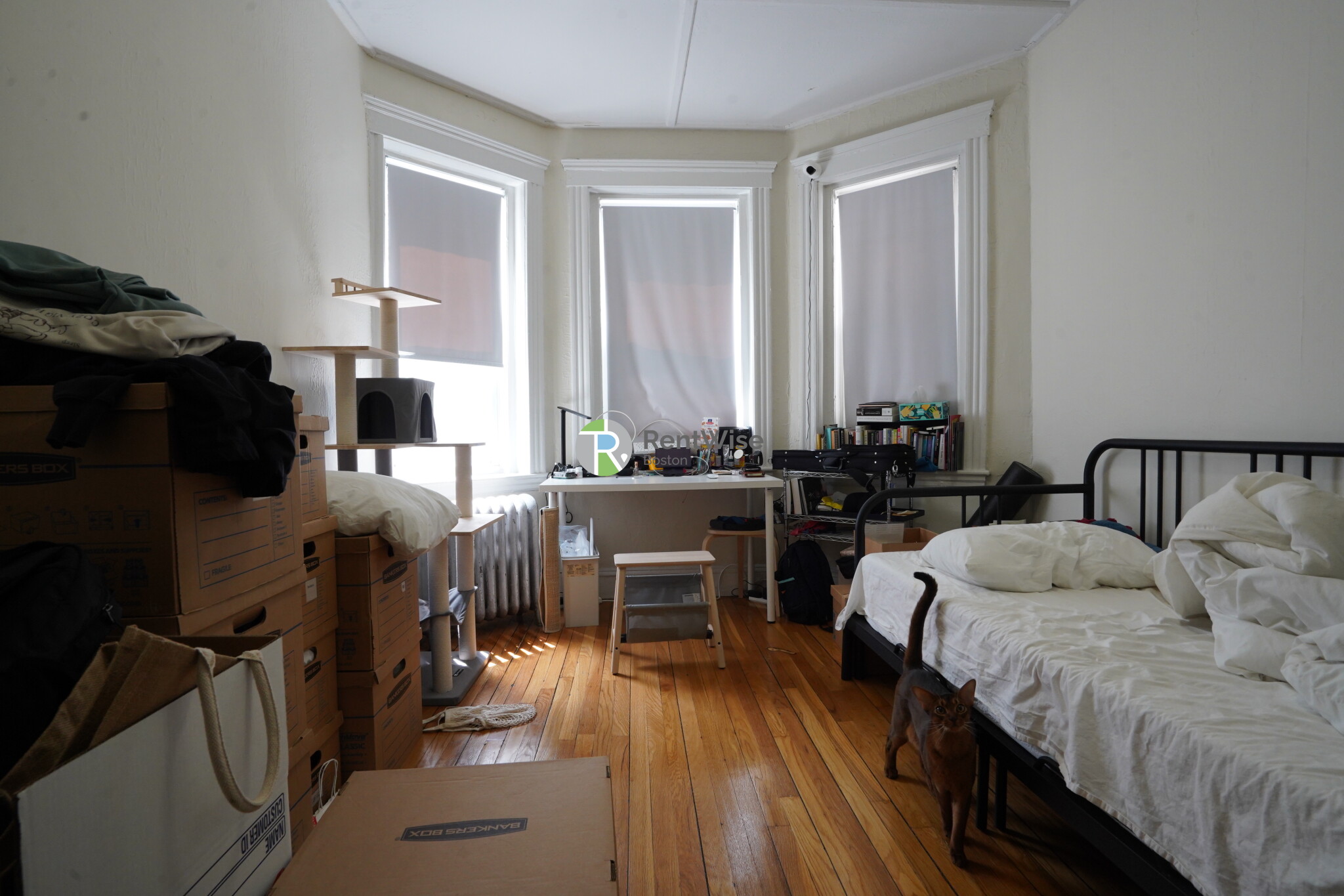 Studio bed, 1 bath apartment for rent at 1185 Boylston St Unit 2, Fenway — photo 2 of 9