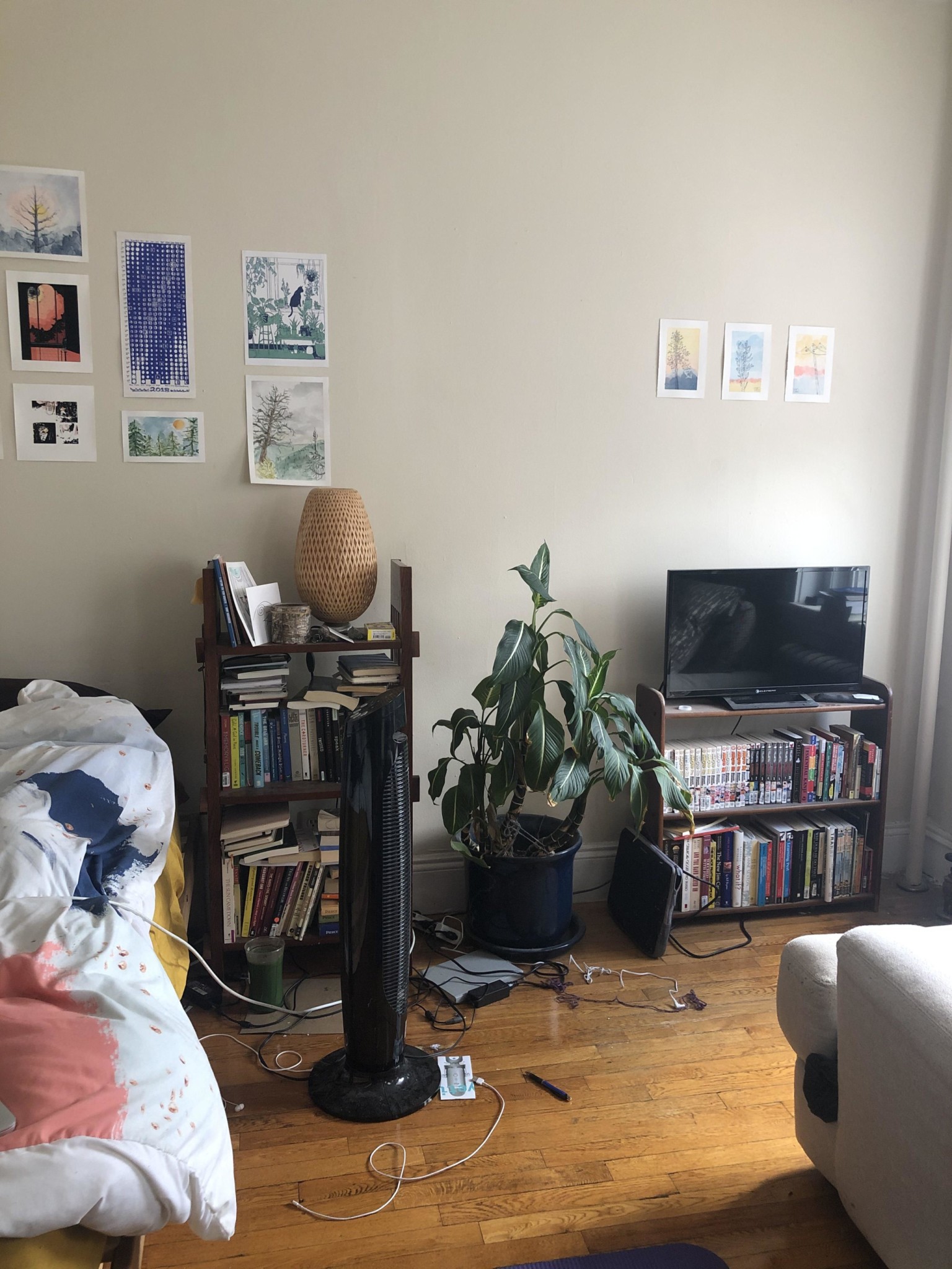 Studio bed, 1 bath apartment for rent at 1189 Commonwealth Ave Unit 12, Allston — photo 18 of 21