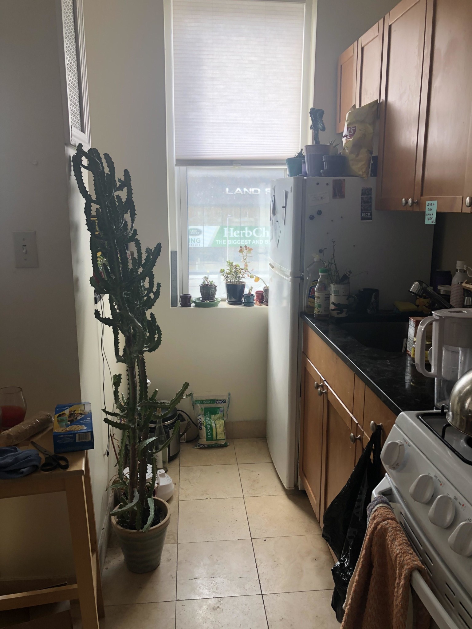 Studio bed, 1 bath apartment for rent at 1189 Commonwealth Ave Unit 12, Allston — photo 16 of 21