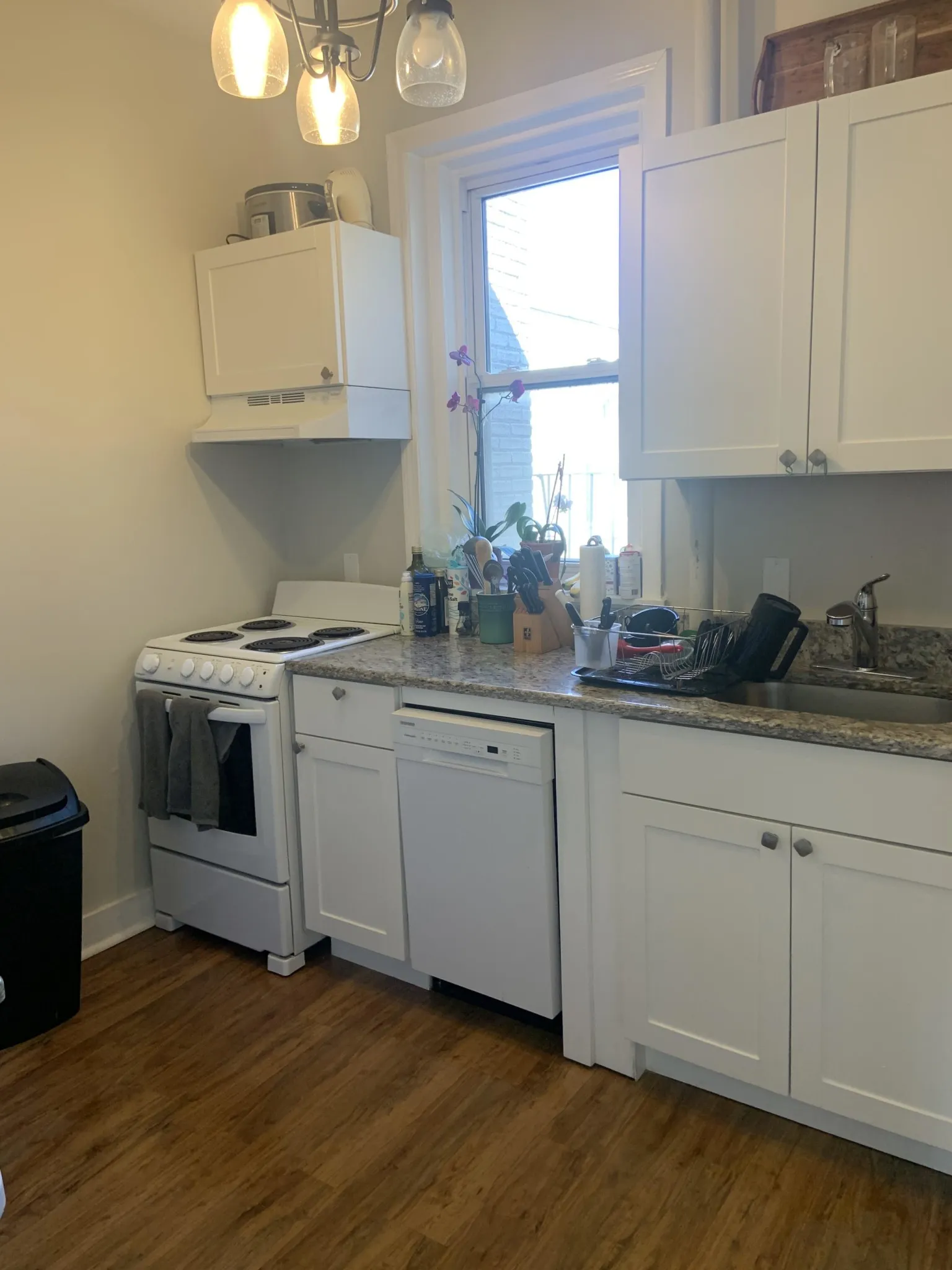 2 bed, 1 bath apartment for rent at 1189 Commonwealth Ave Unit 24, Allston — photo 24 of 47