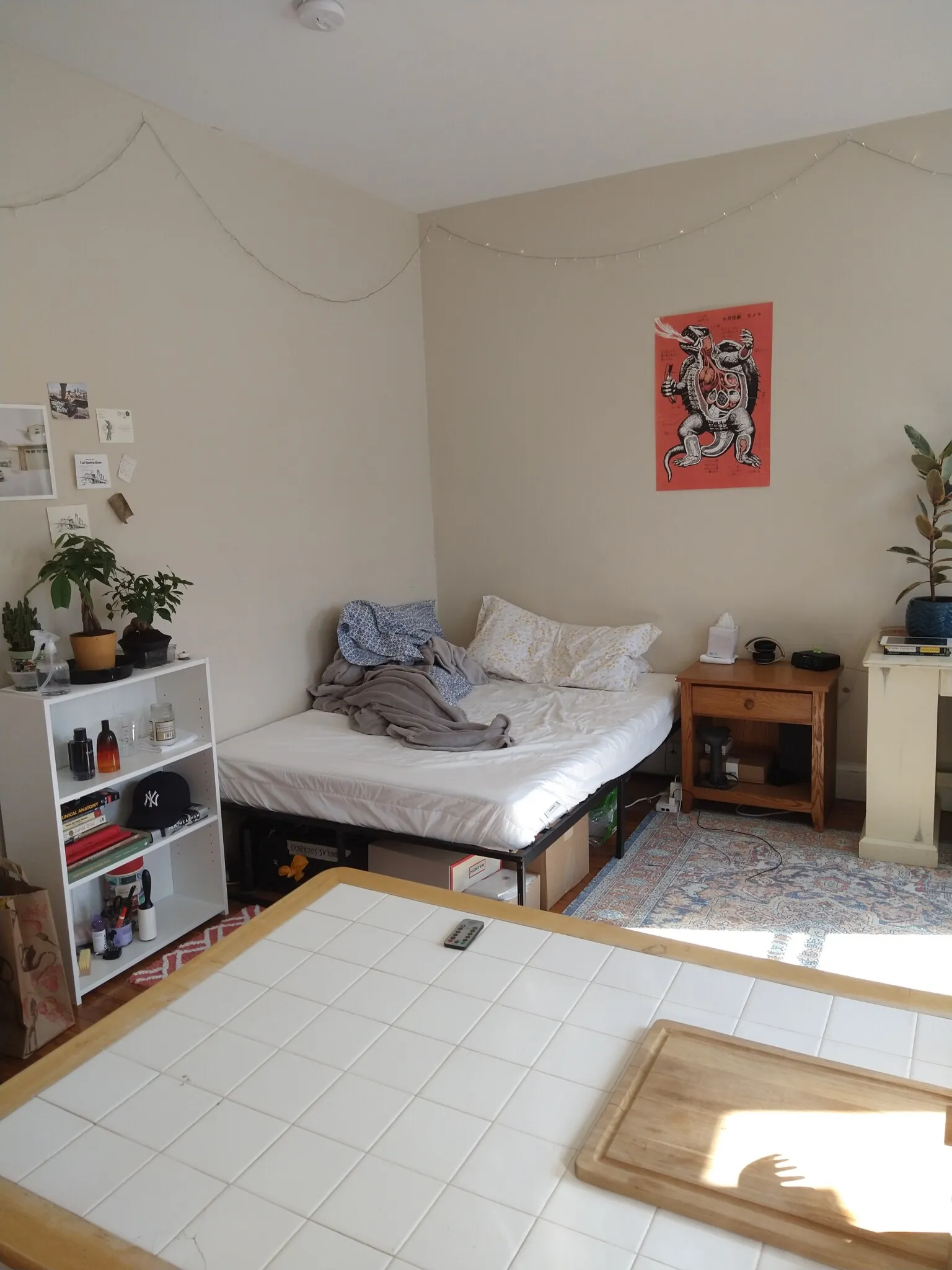 Studio bed, 1 bath apartment for rent at 1189 Commonwealth Ave Unit 6, Allston — photo 20 of 23