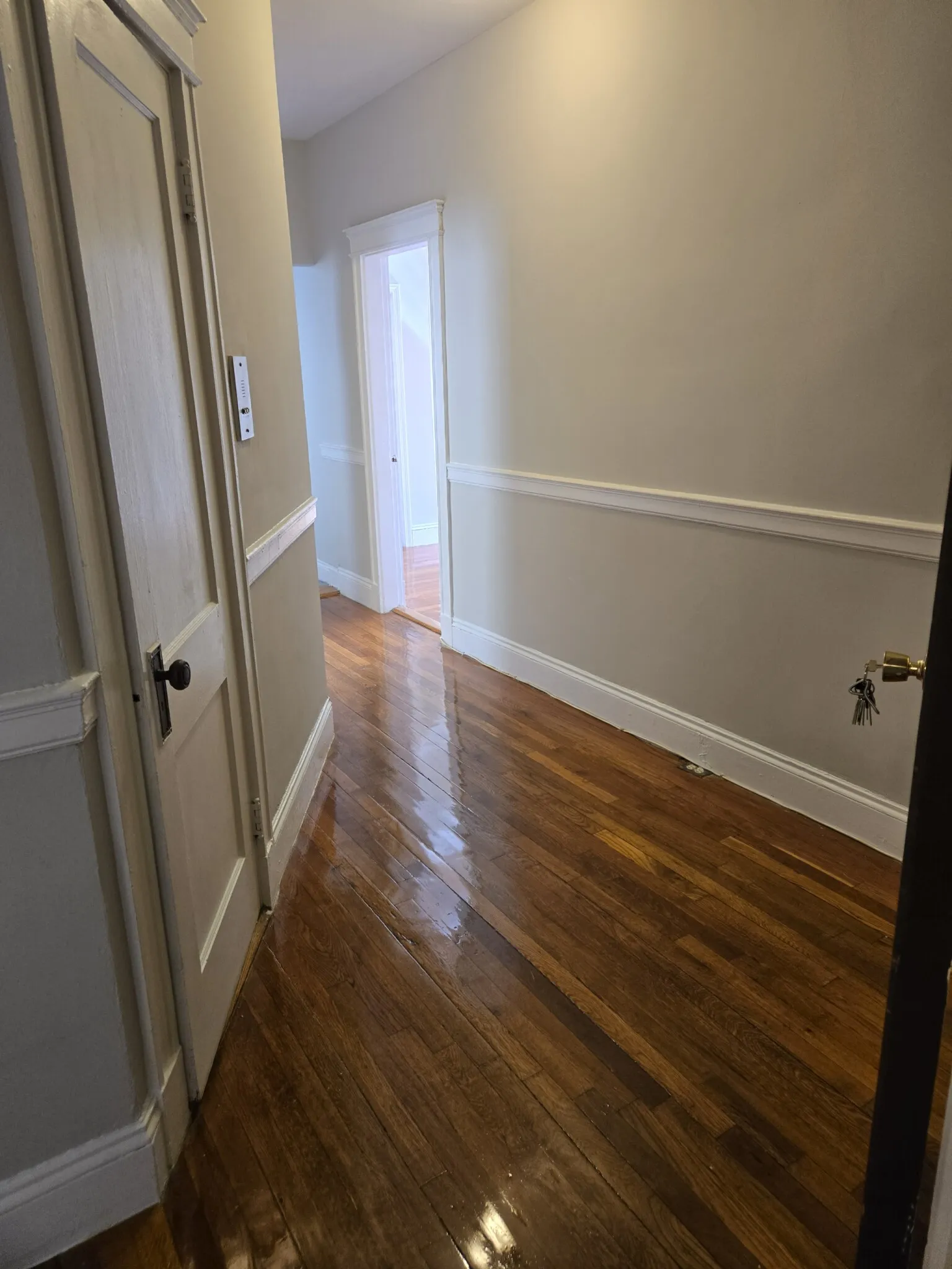 2 bed, 1 bath apartment for rent at 1189 Commonwealth Ave Unit 7, Allston — photo 5 of 20
