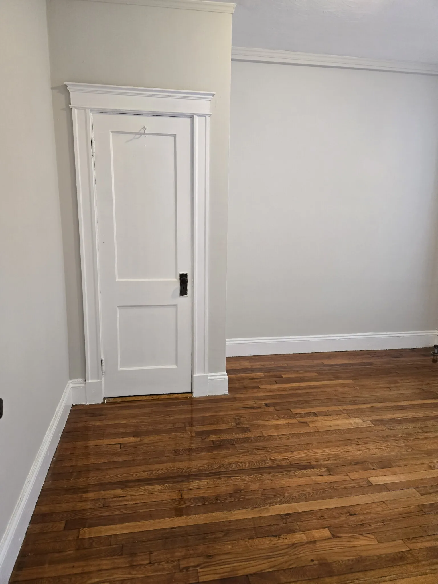 2 bed, 1 bath apartment for rent at 1189 Commonwealth Ave Unit 7, Allston — photo 7 of 20
