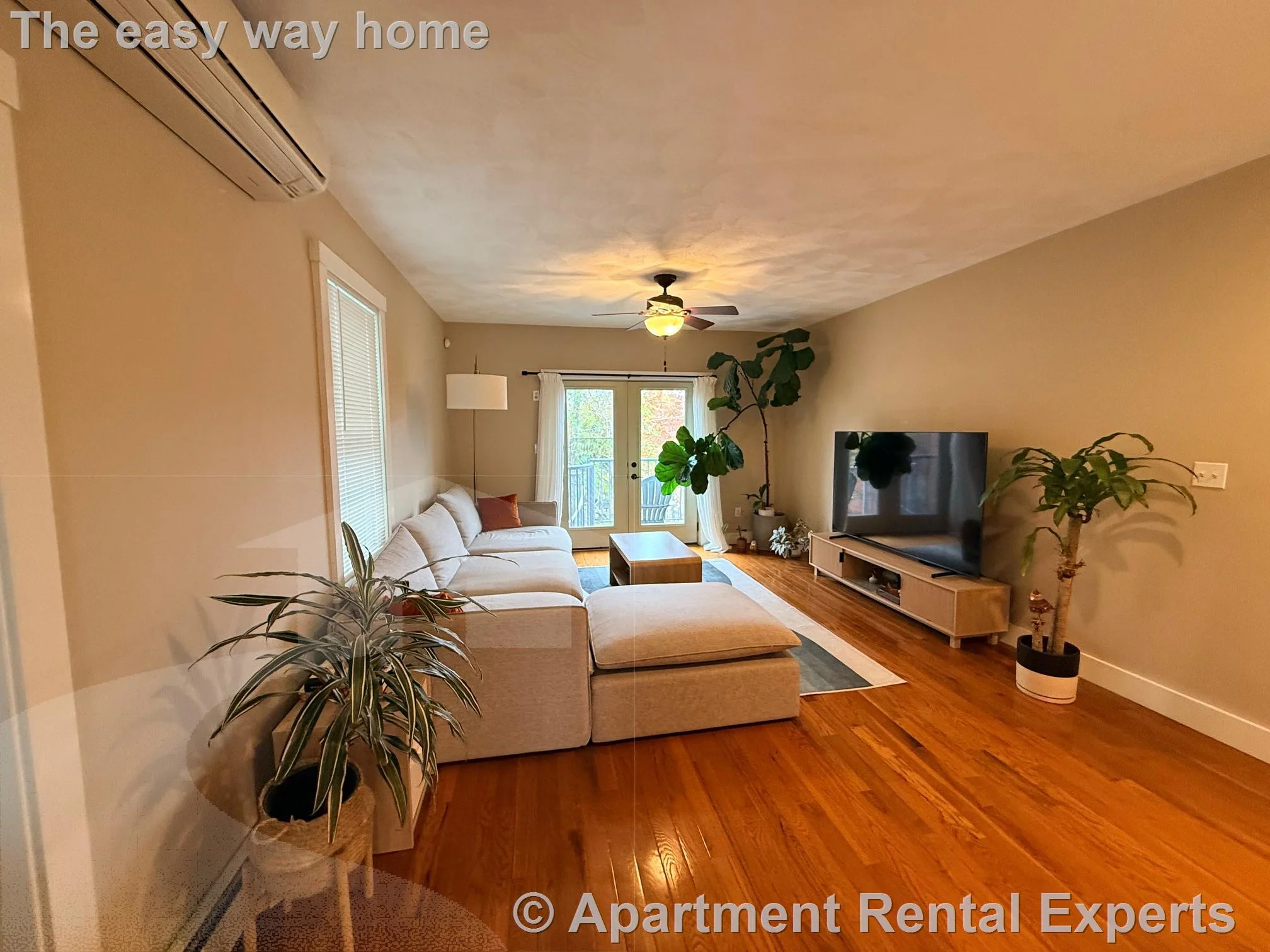 2 bed, 2 bath apartment for rent at 119 Central St, Spring Hill — photo 3 of 23